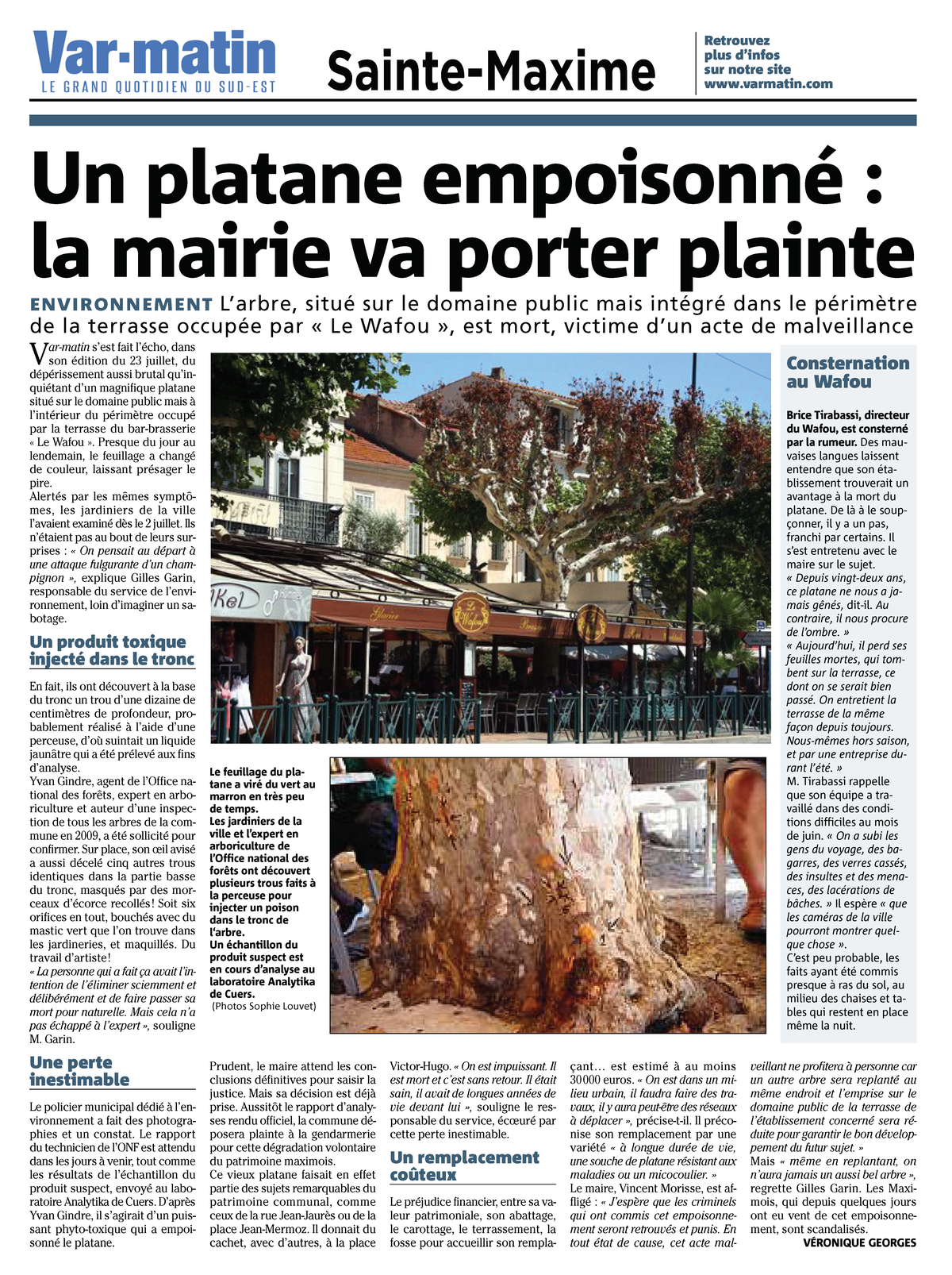 31.07.2010 > VAR MATIN : "Un platane empoisonné : la mairie de Sainte-Maxime va porter plainte"